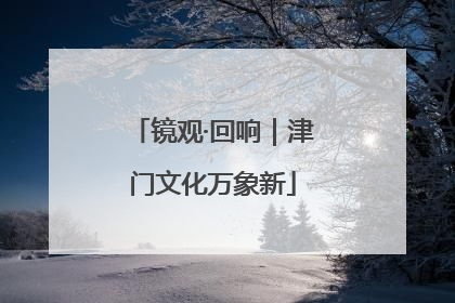 镜观·回响｜津门文化万象新